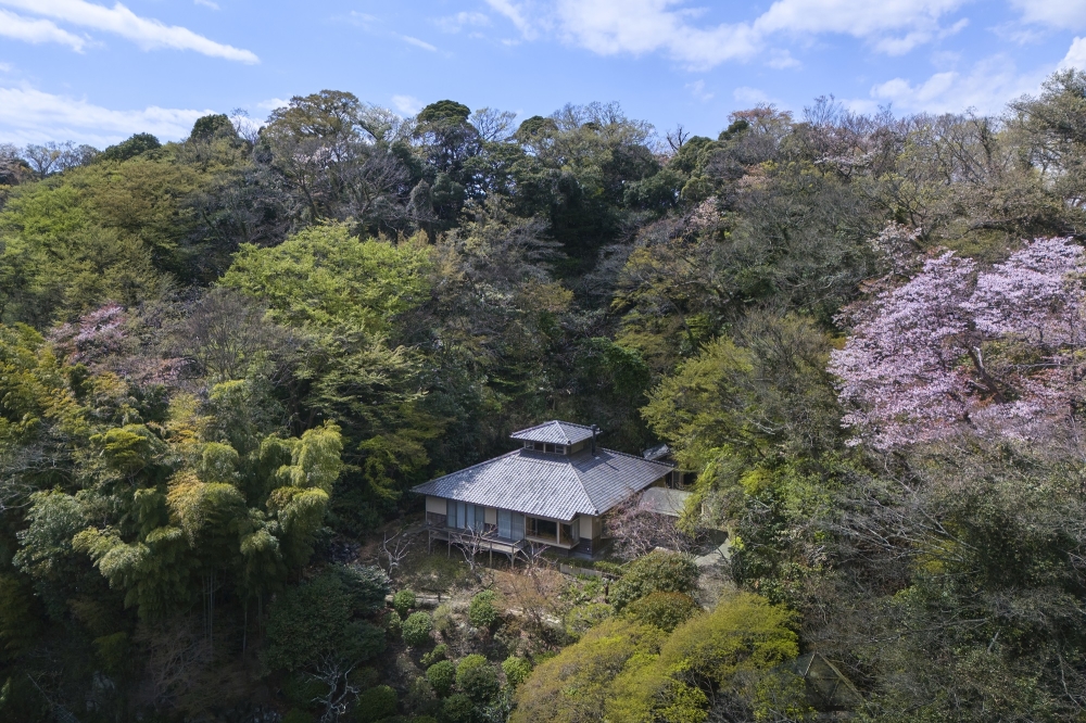 鎌倉 雪ノ下 大御堂