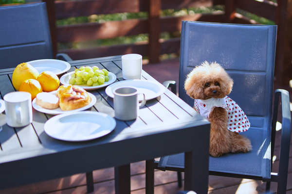 【那須・山中湖の貸別荘で朝活】自然の中でリフレッシュする贅沢な朝の過ごし方