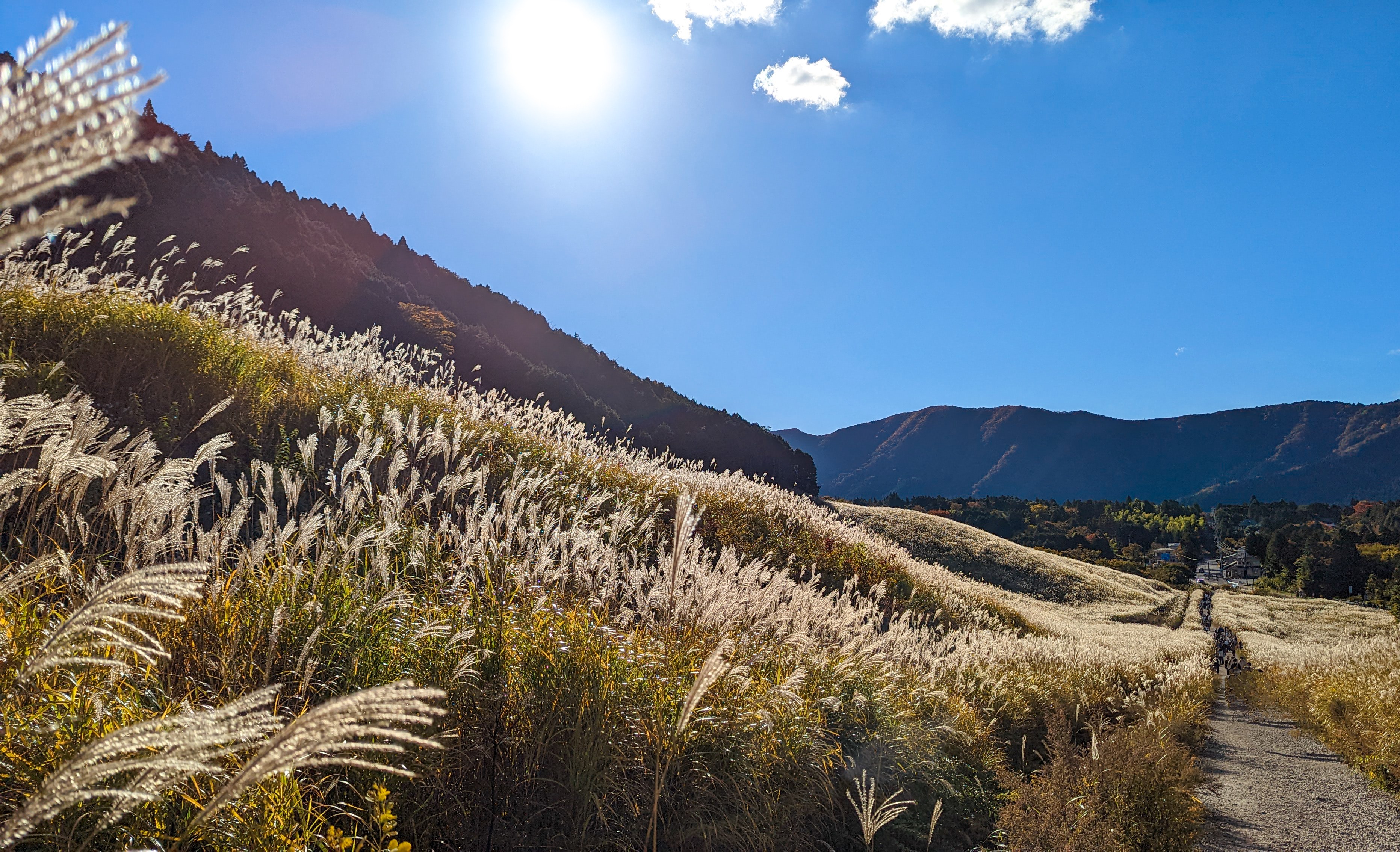 2025年シルバーウィークはいつ?都心から近い!関東エリアの秋におすすめお出かけスポットを紹介