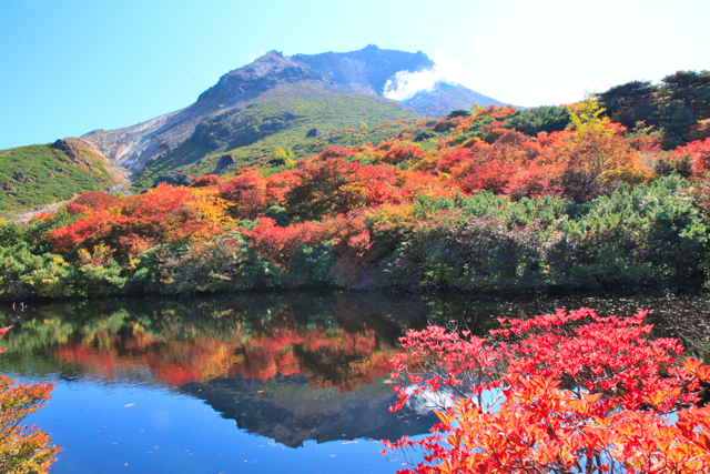 【関東近郊】秋の紅葉を楽しむハイキングへ!初心者にもおすすめコース3選(箱根・伊豆・那須)