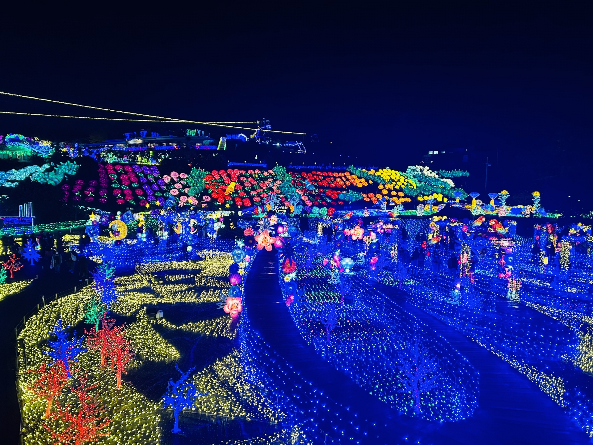 東京から行けるイルミネーションスポット|クリスマスに行きたい観光&宿泊スポットおすすめ5選【2025年版】