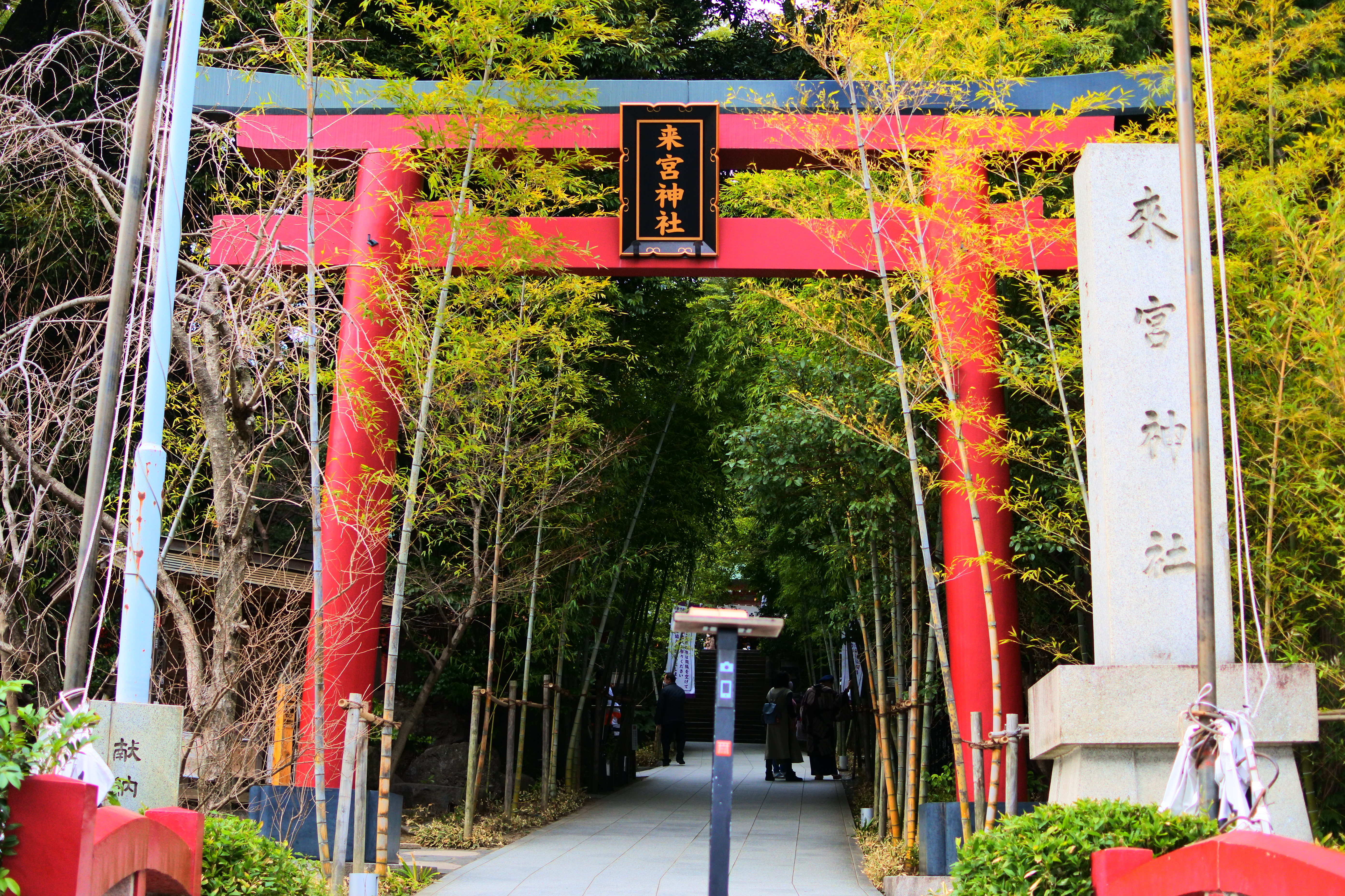 【関東エリア】初詣におすすめ神社5選│宿泊スポットも紹介!混雑を避けてゆっくり参拝する旅へ